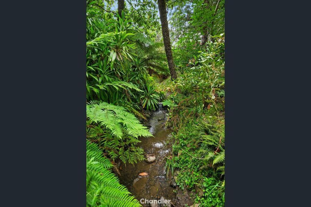 Вилла Paddys Creek Retreat Upwey Экстерьер фото
